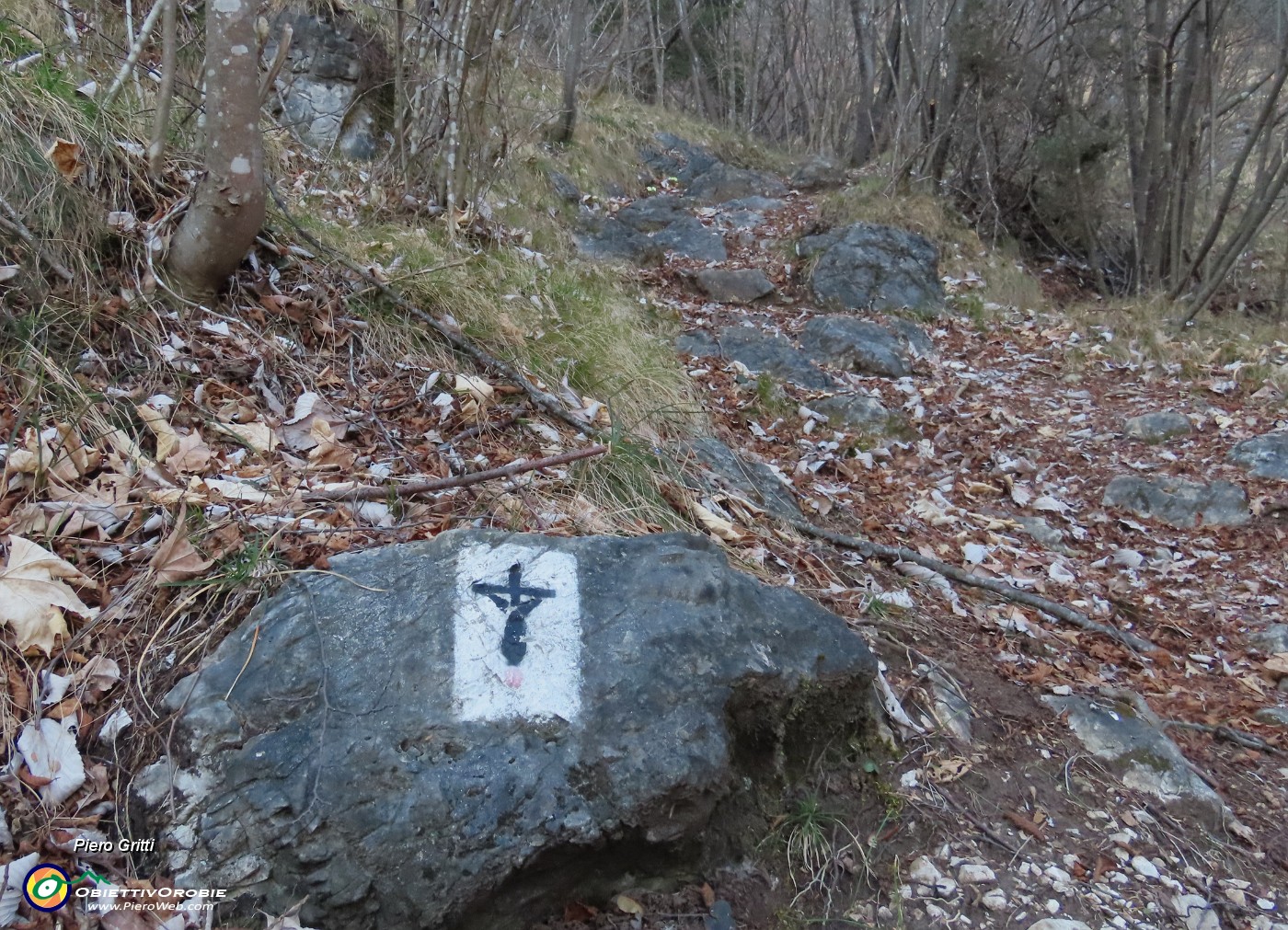 74 Consigliato per salita-discesa veloce alla Croce del Pizzo Rabbioso.JPG
